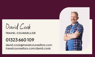 David Cook - Travel Counsellor logo